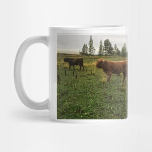 Scottish Highland Cattle Bulls 2080 Mug